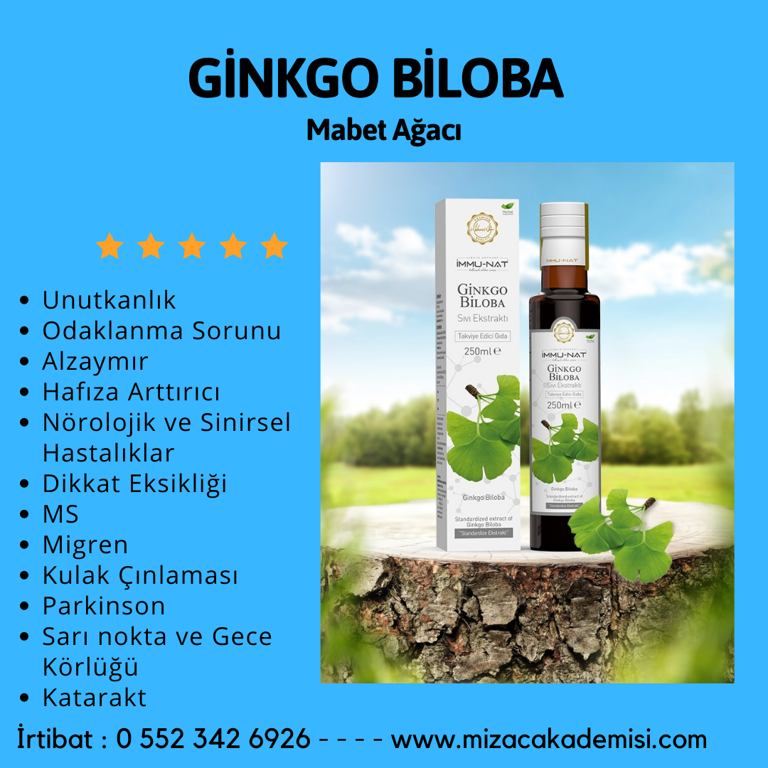 Ginko Biloba Ekstraktı 250 ML