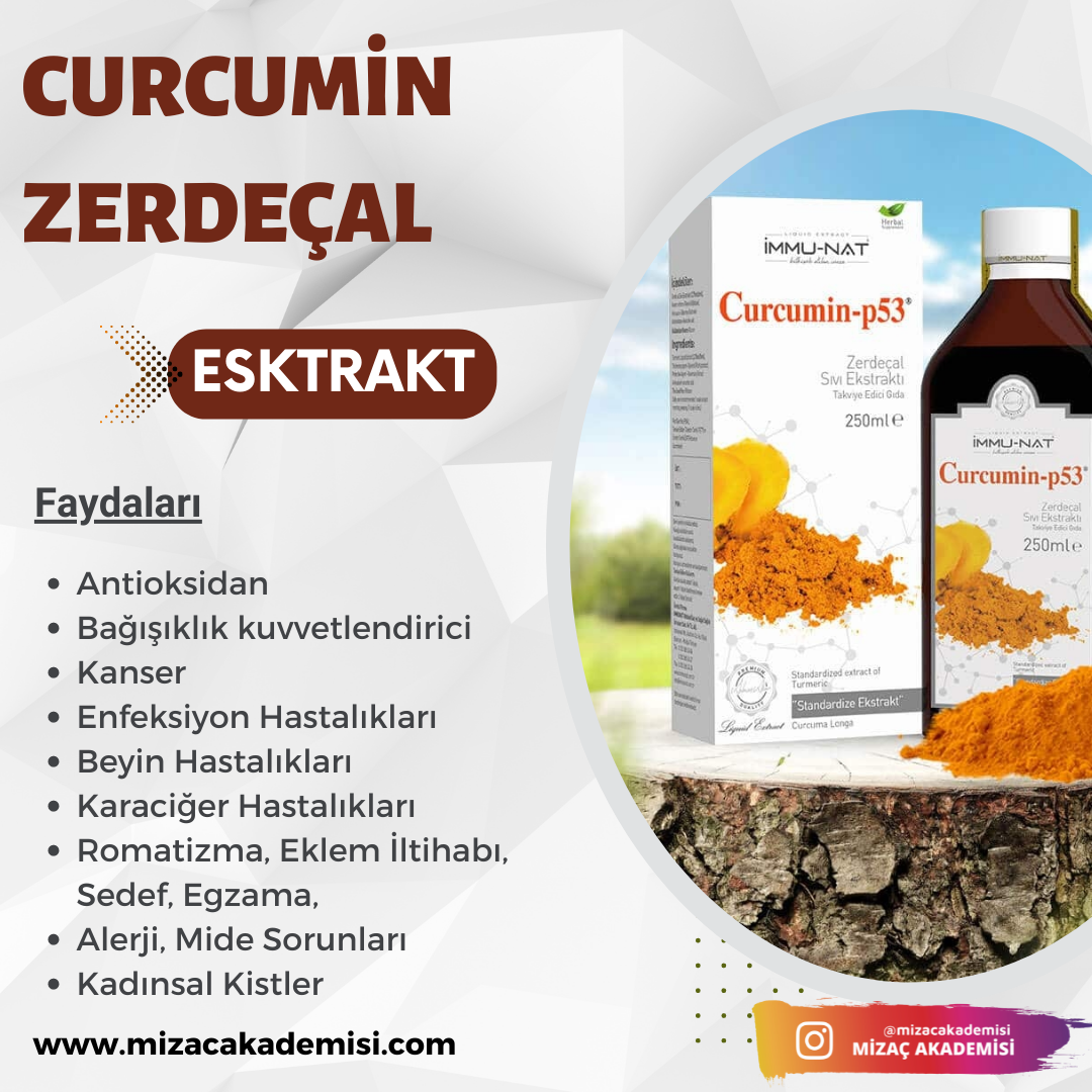 Zerdeçal Ekstraktı Curcumin-p53 250 ML