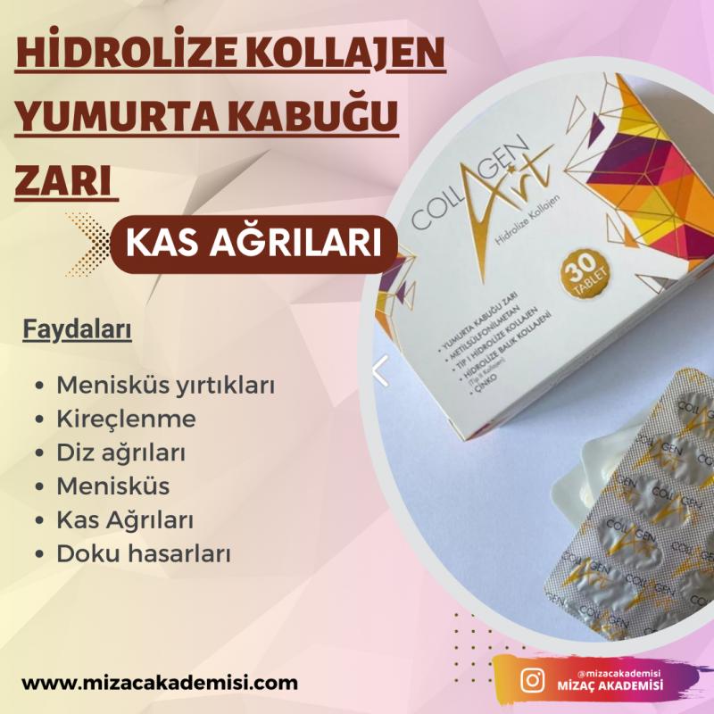 Collagen art Yumurta Kabuğu Zarı 