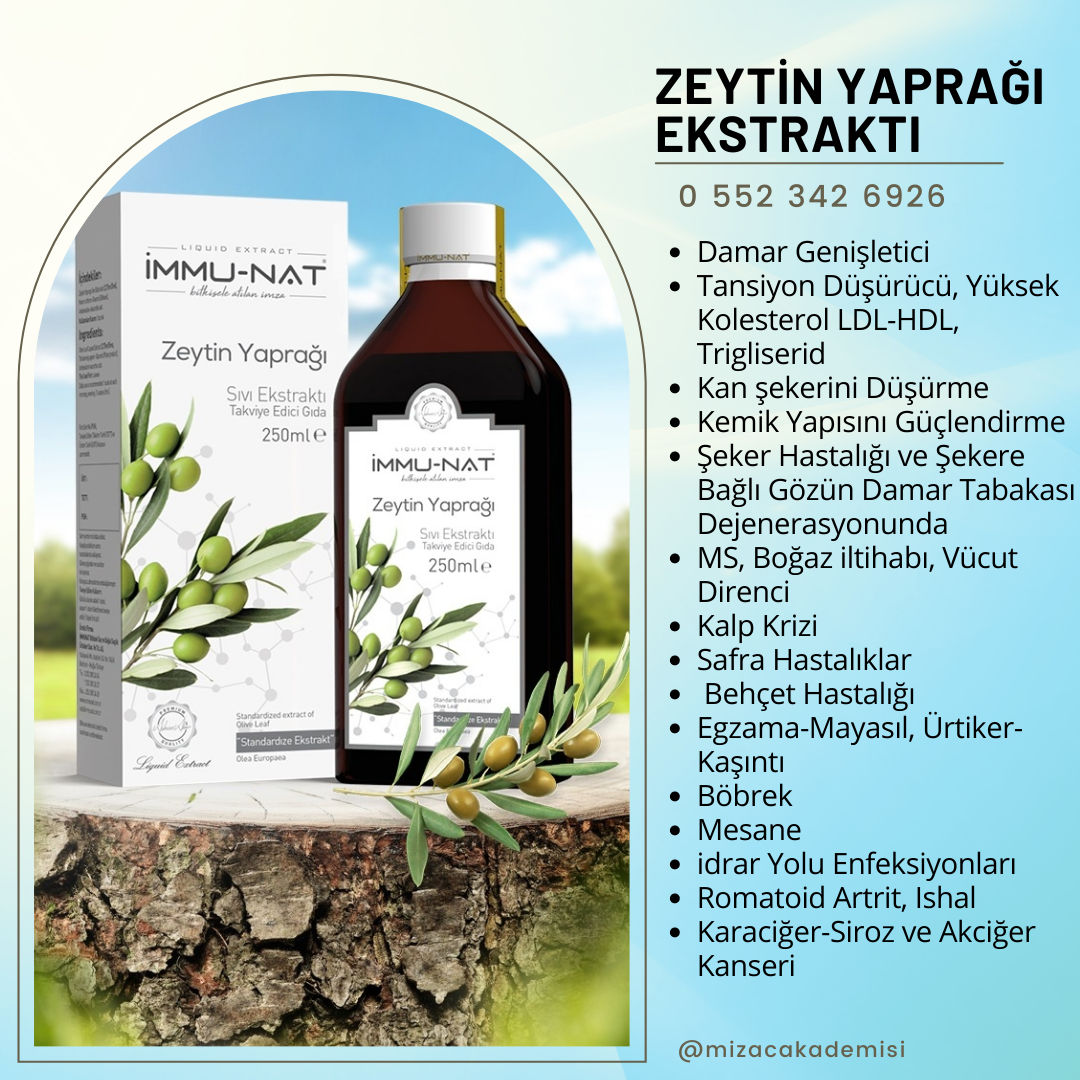 Zeytin Yaprağı Ekstraktı 250 ML