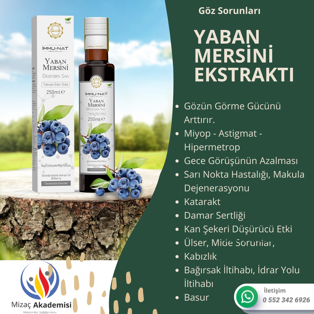 Yaban Mersini Ekstraktı 250 ML