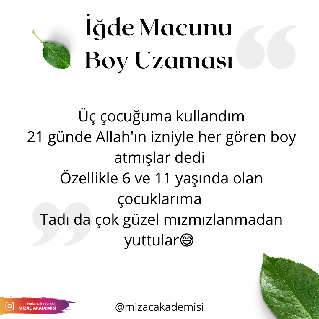 İğde Macunu 280 gr