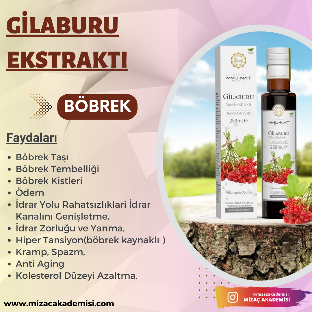 Gilaburu Ekstraktı 250 ML