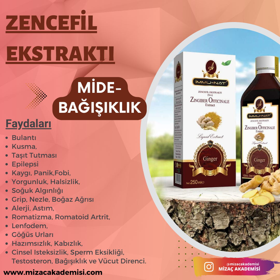 Zencefil Ekstraktı 250 ML